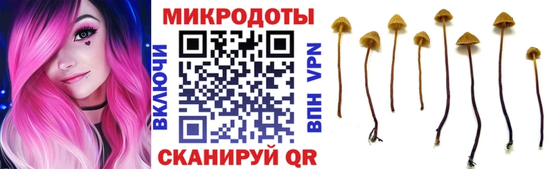 Псилоцибиновые грибы Magic Shrooms  купить закладку  Ивангород 